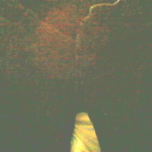 Social Collision  Slade Pants Jeans size 36